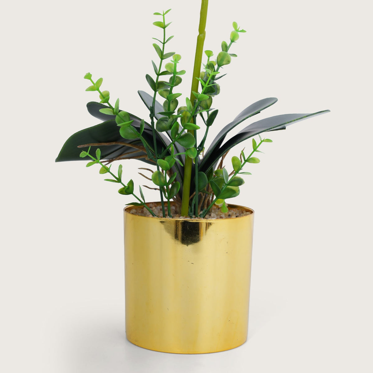 Artificial Green Plant with Golden Pot - Green