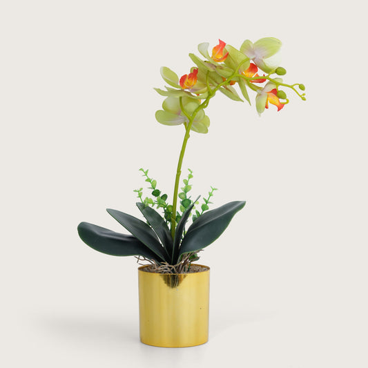 Artificial Green Plant with Golden Pot - Green