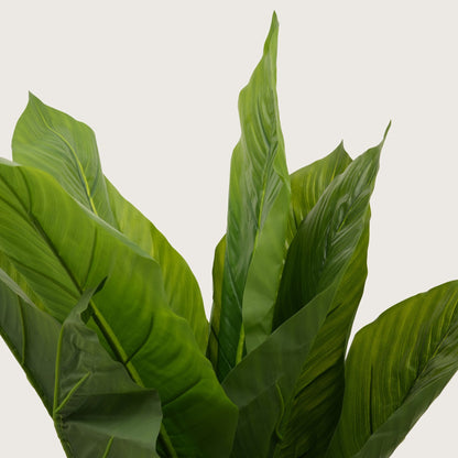 Botanical Accent Plant with Tapered Base