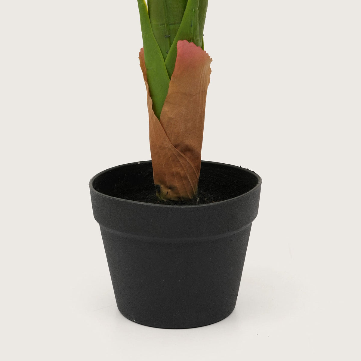 Botanical Accent Plant with Tapered Base
