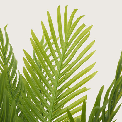 Tropical Plant  in Sleek Contemporary Base