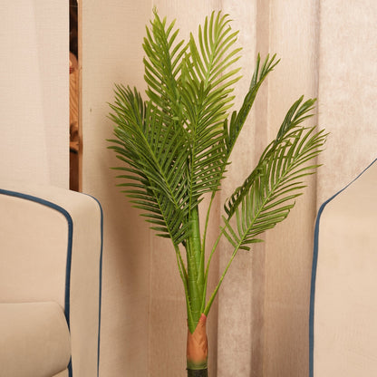 Tropical Plant  in Sleek Contemporary Base