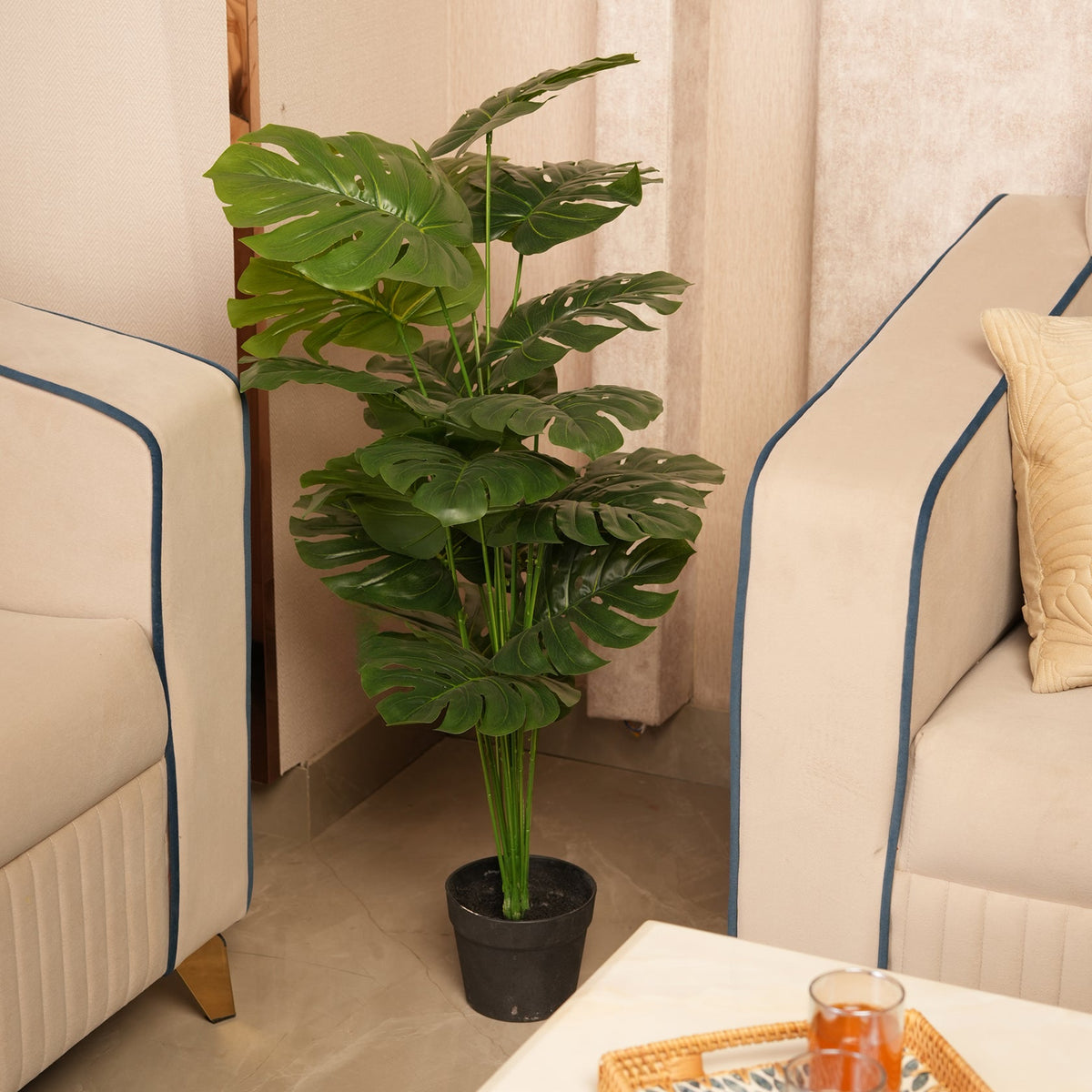 Architectural Floor Plant  with Sturdy Base