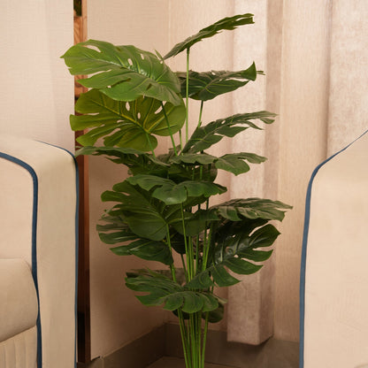 Architectural Floor Plant  with Sturdy Base