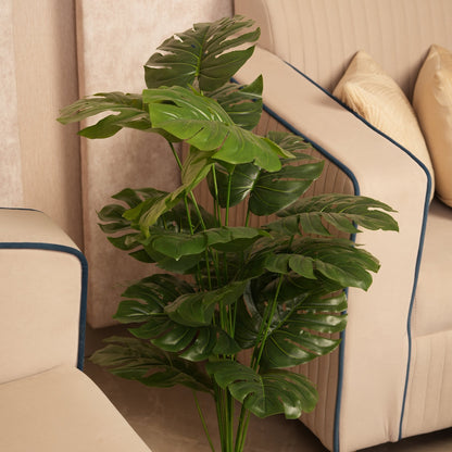 Architectural Floor Plant  with Sturdy Base