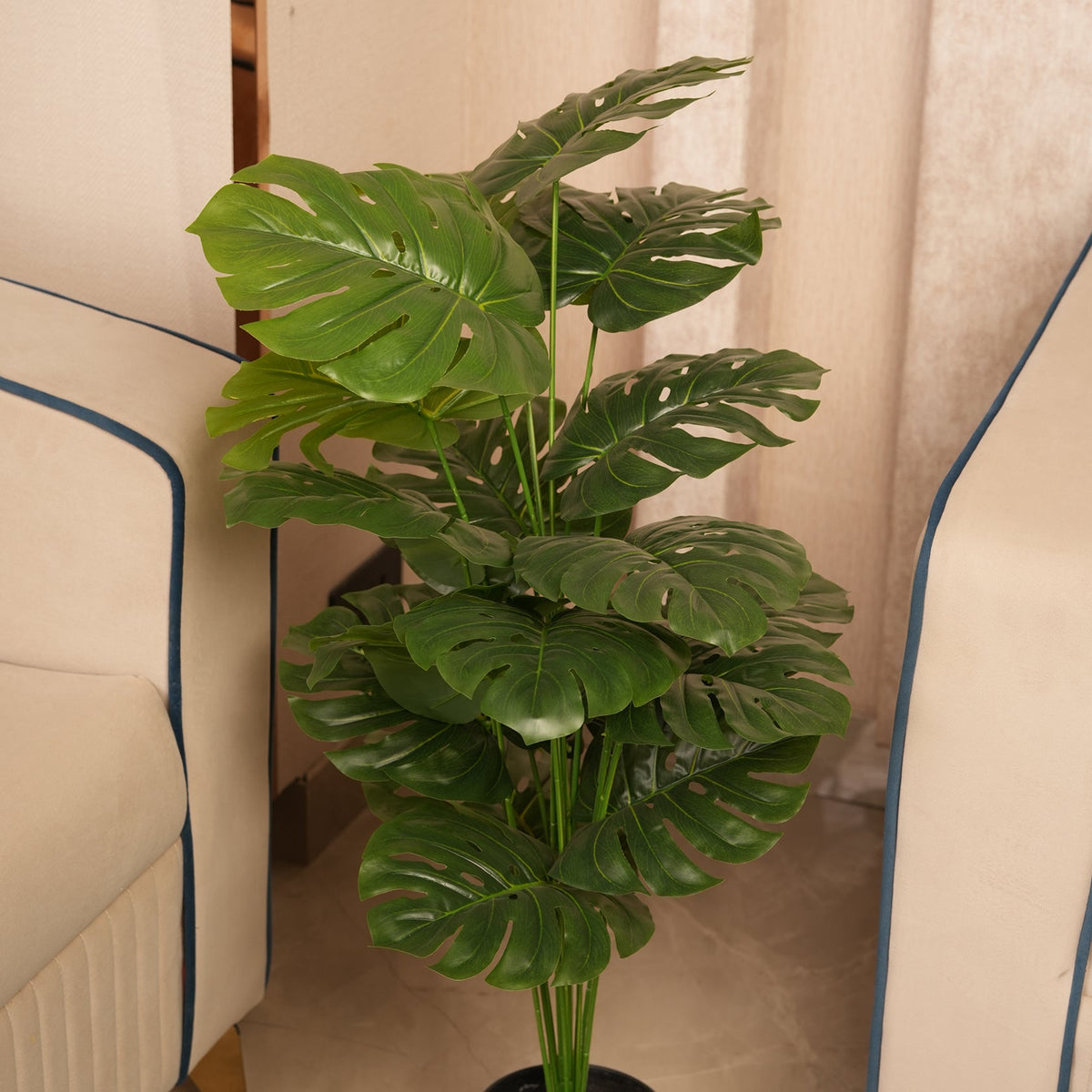 Architectural Floor Plant  with Sturdy Base