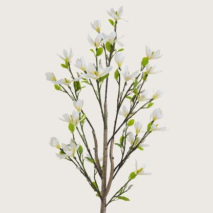 Slimline White Blossom Tree