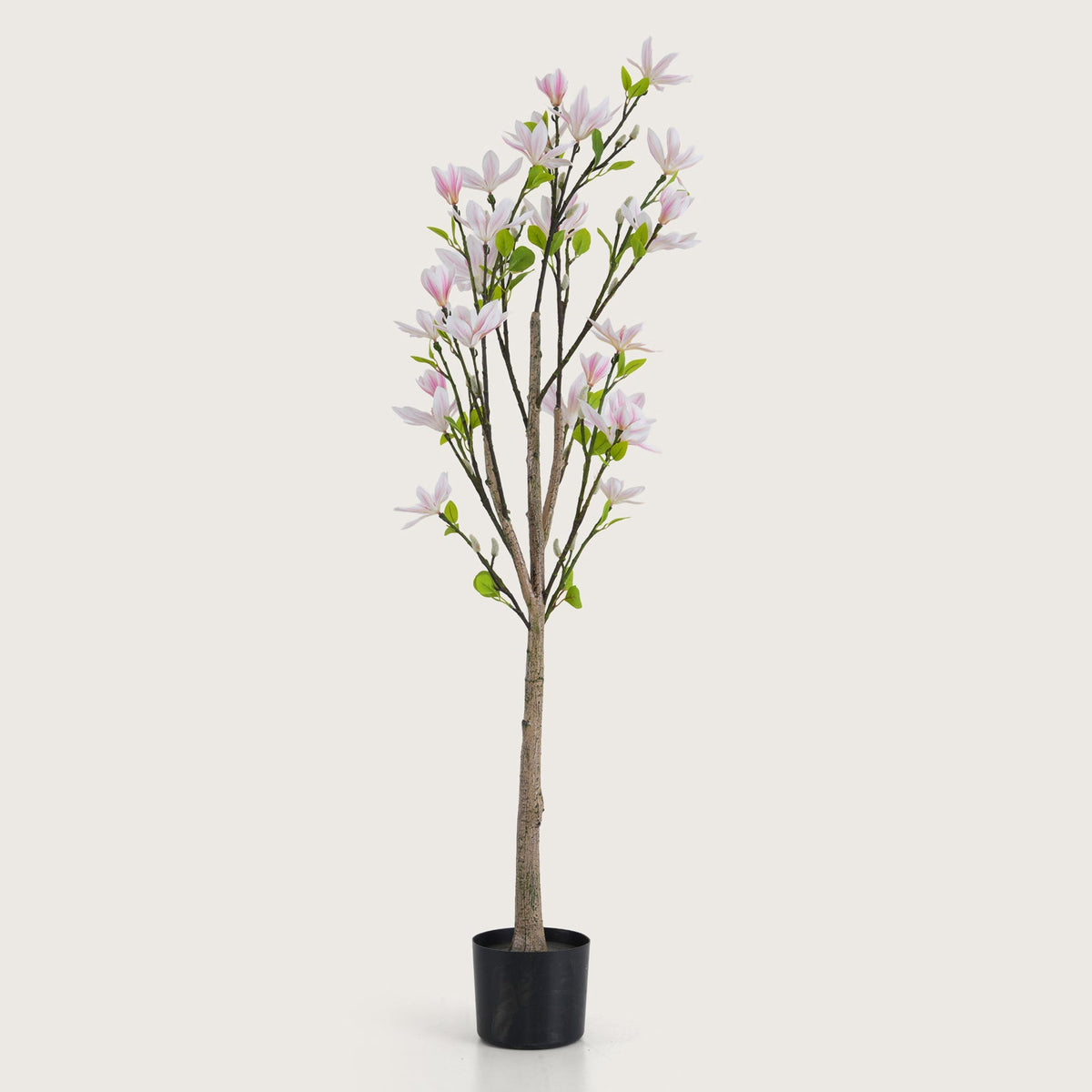 Slimline Blush-Pink Blossom Tree