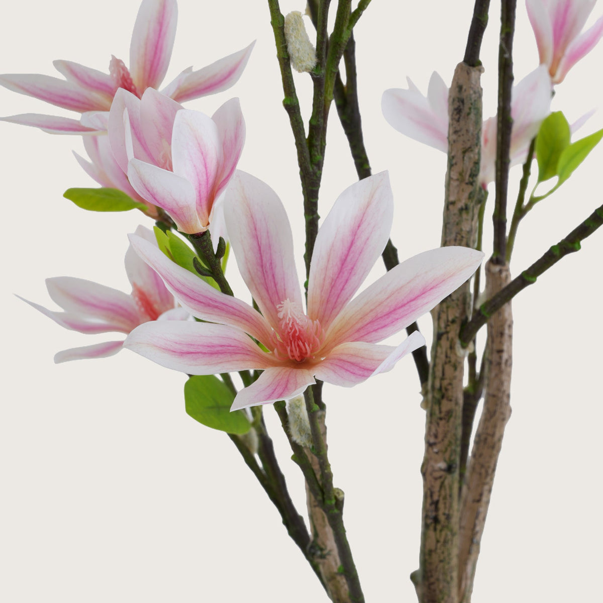 Slimline Blush-Pink Blossom Tree