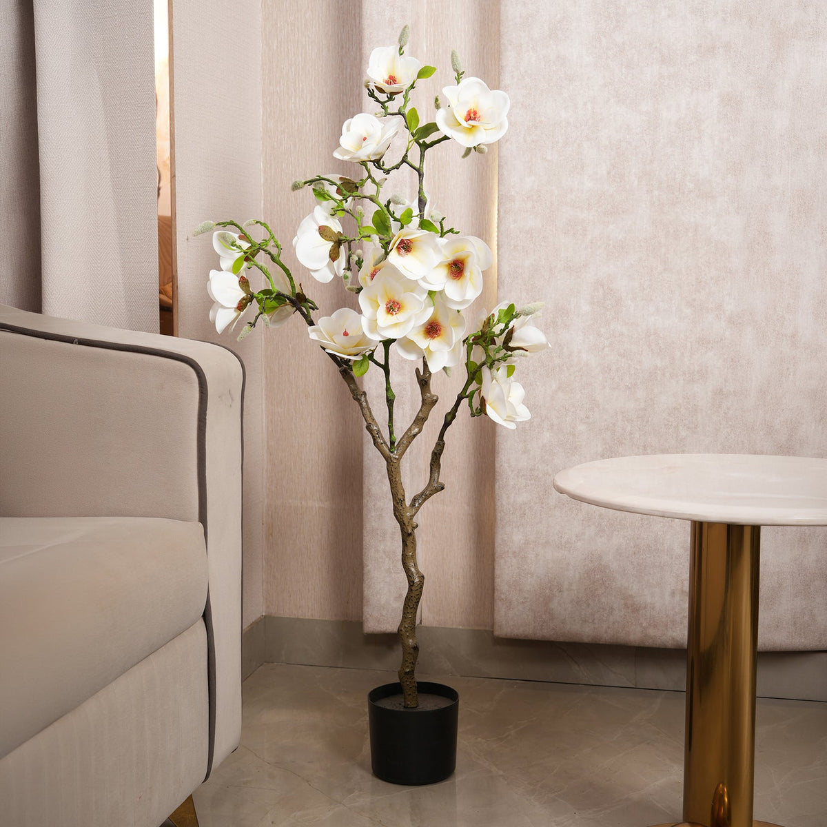 White Magnolia Tree with Blooms