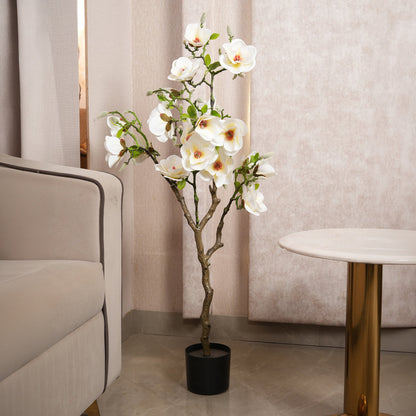White Magnolia Tree with Blooms