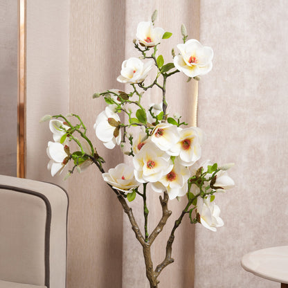 White Magnolia Tree with Blooms