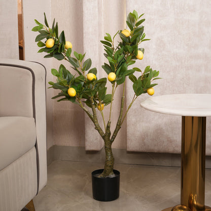 Lush Green Lemon Tree