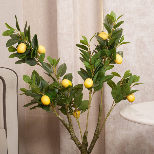 Lush Green Lemon Tree