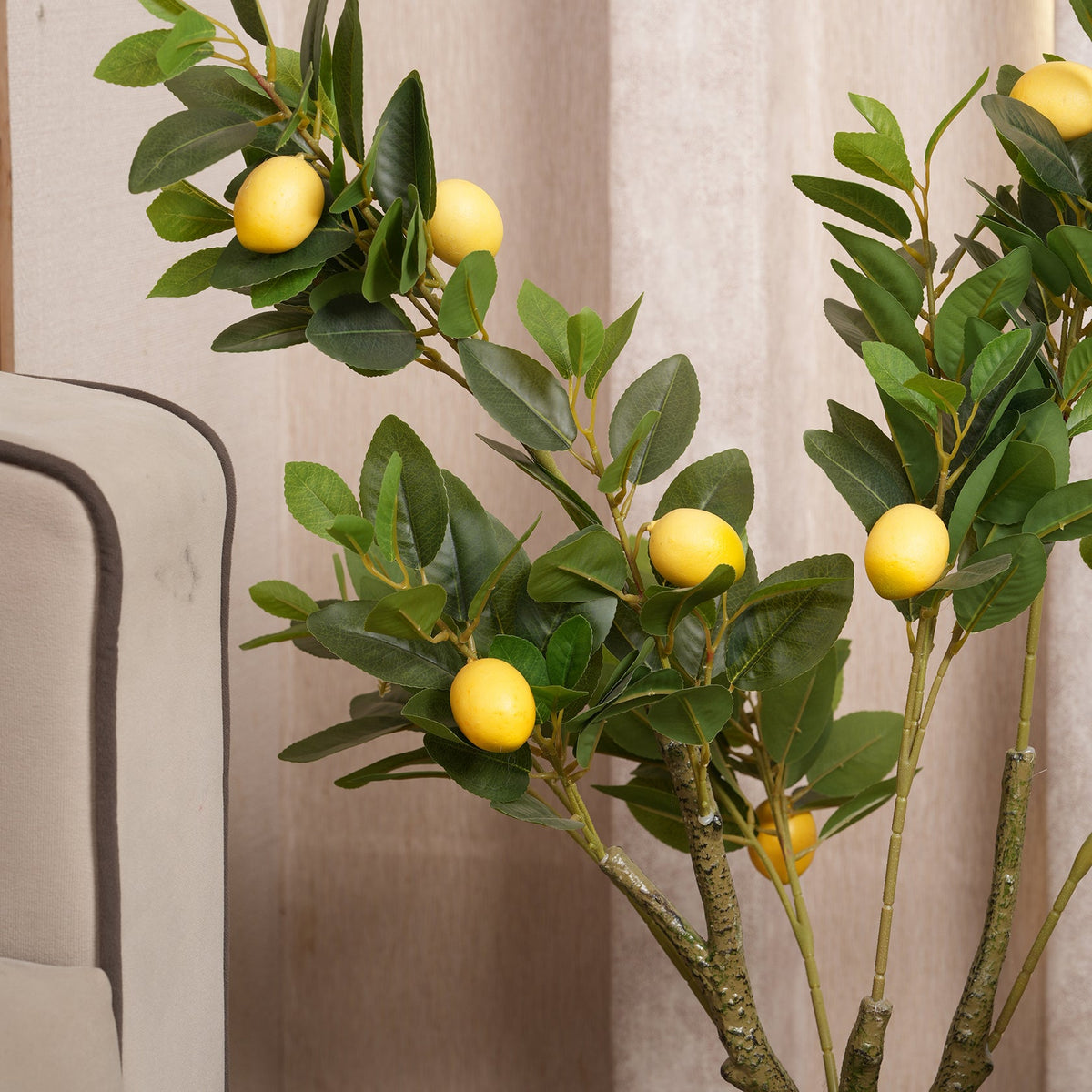 Lush Green Lemon Tree