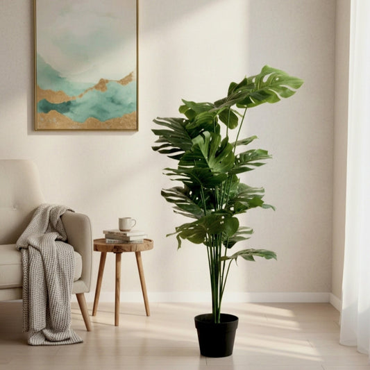 Architectural Floor Plant  with Sturdy Base